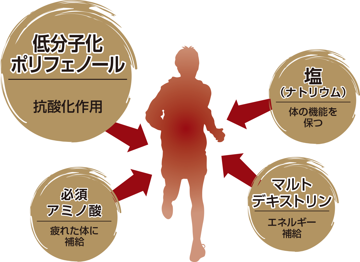 エネルギー補給に最適な羊羹